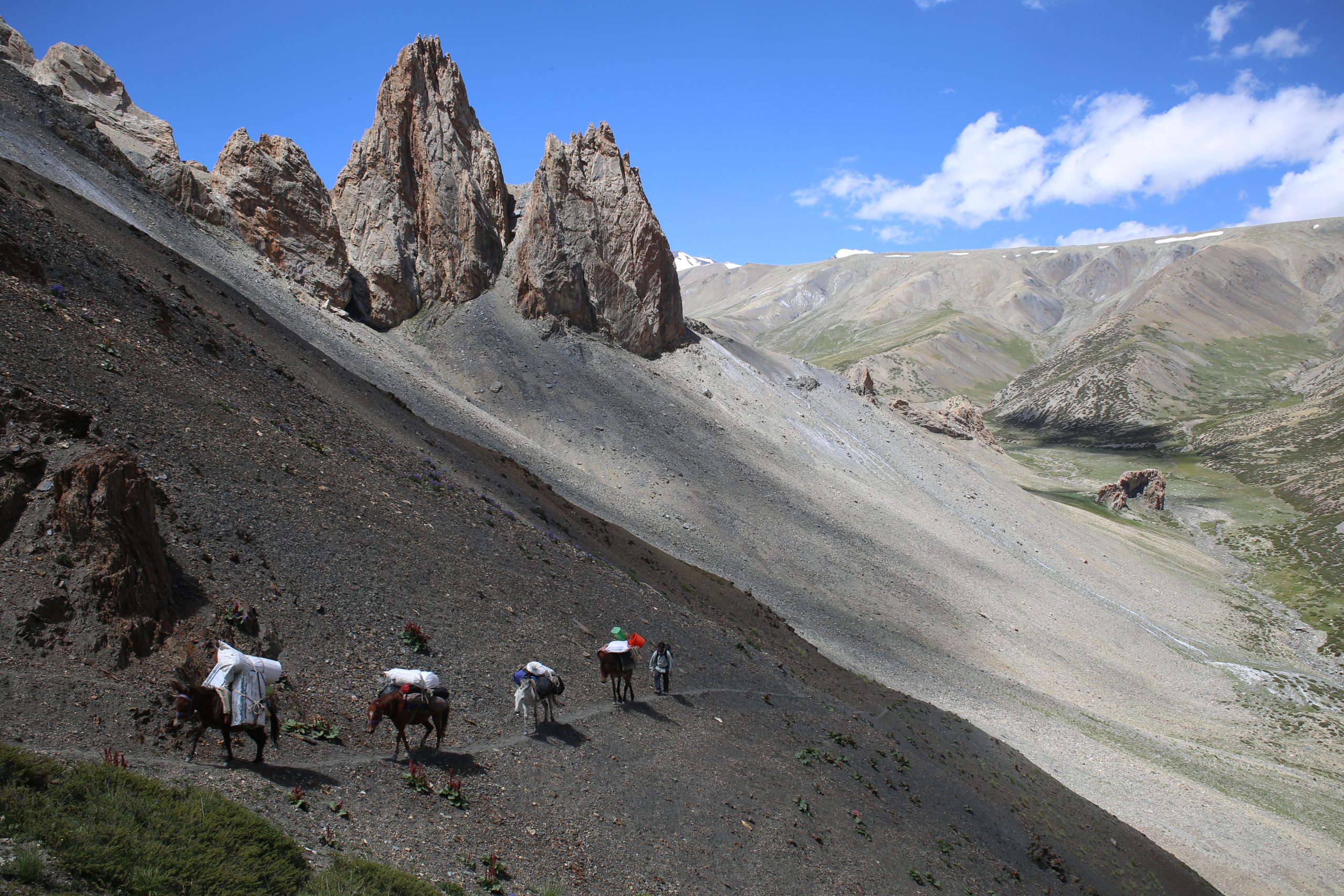 Markha Valley Via Rumtse Tsomoriri Mentok II Peak Climb