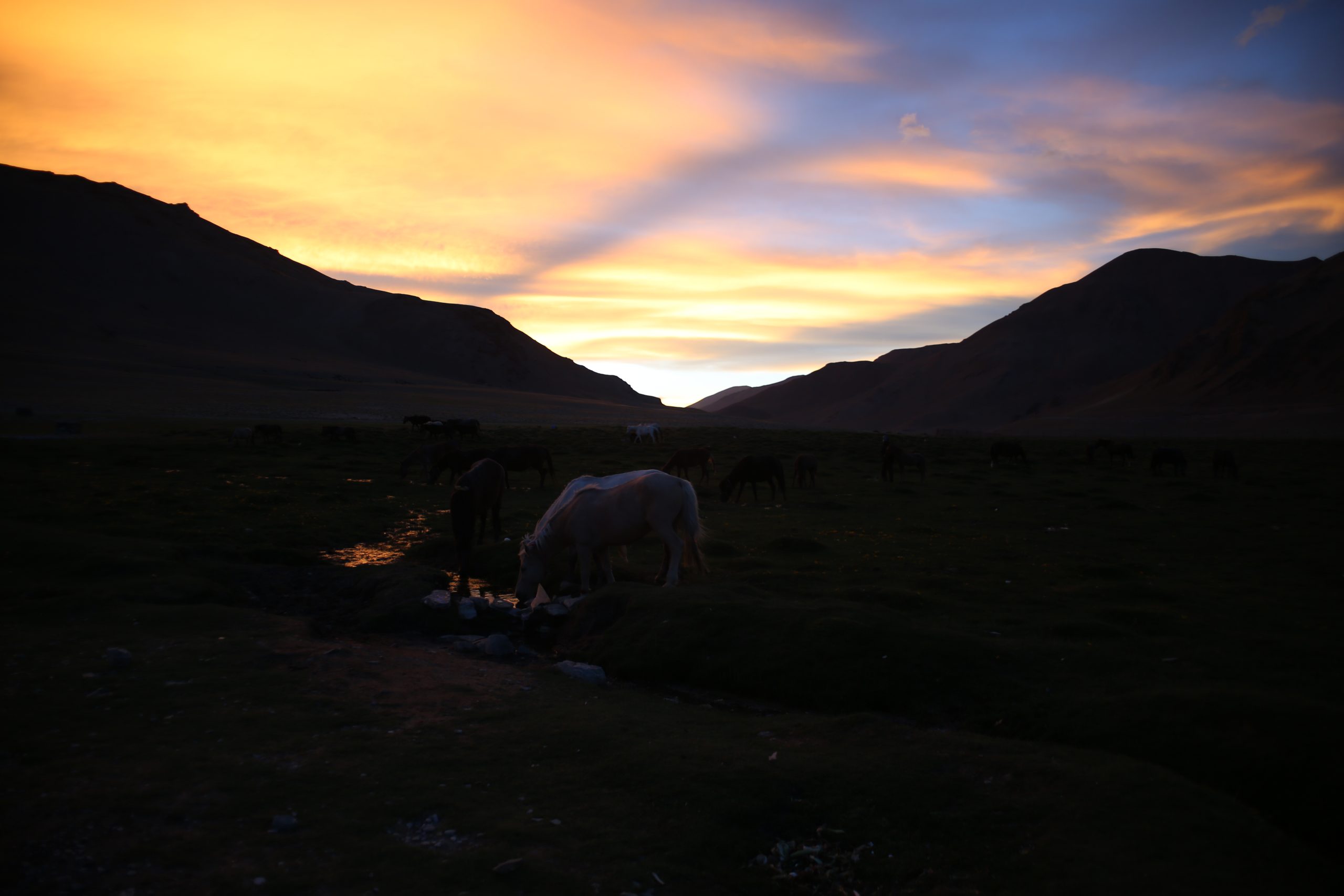 Chilling Via Markha Valley Kangyatse II Peak