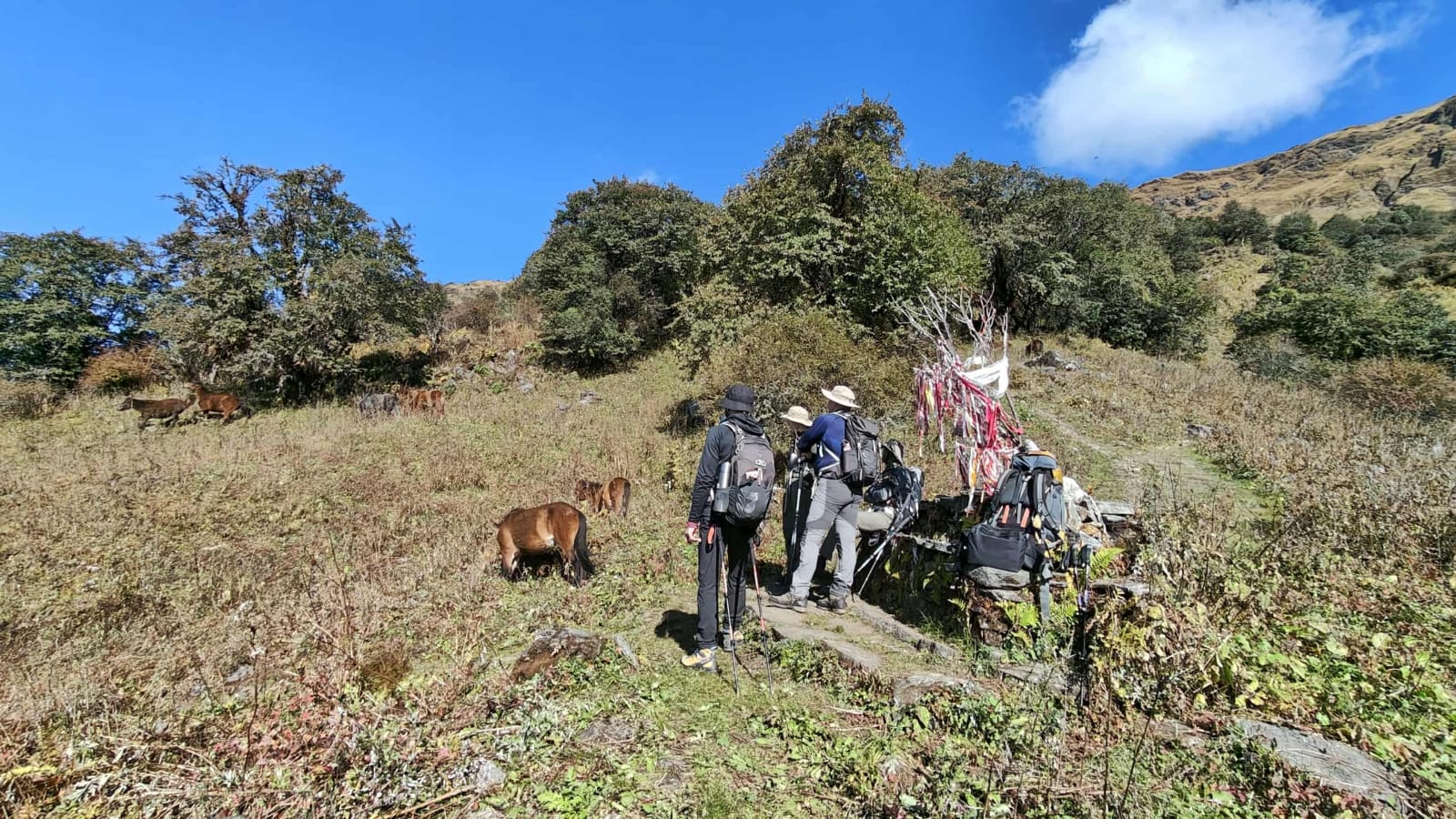 KHAIR LAKE TREKKING