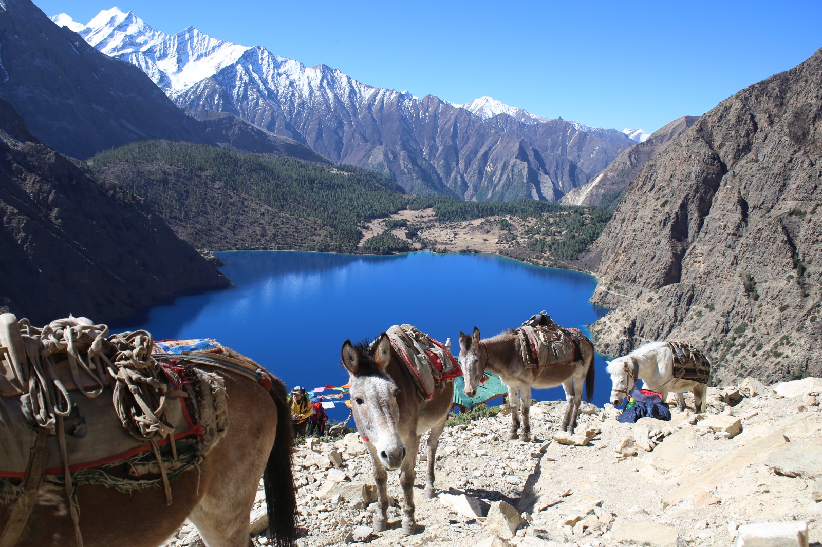 Upper Dolpo Trekking